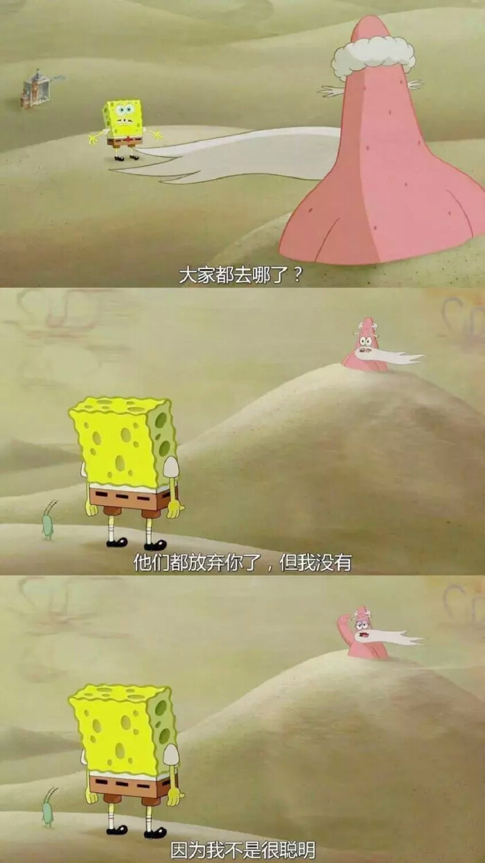 海绵宝宝 台词
