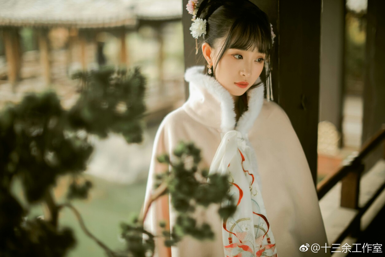 十三余小豆蔻儿