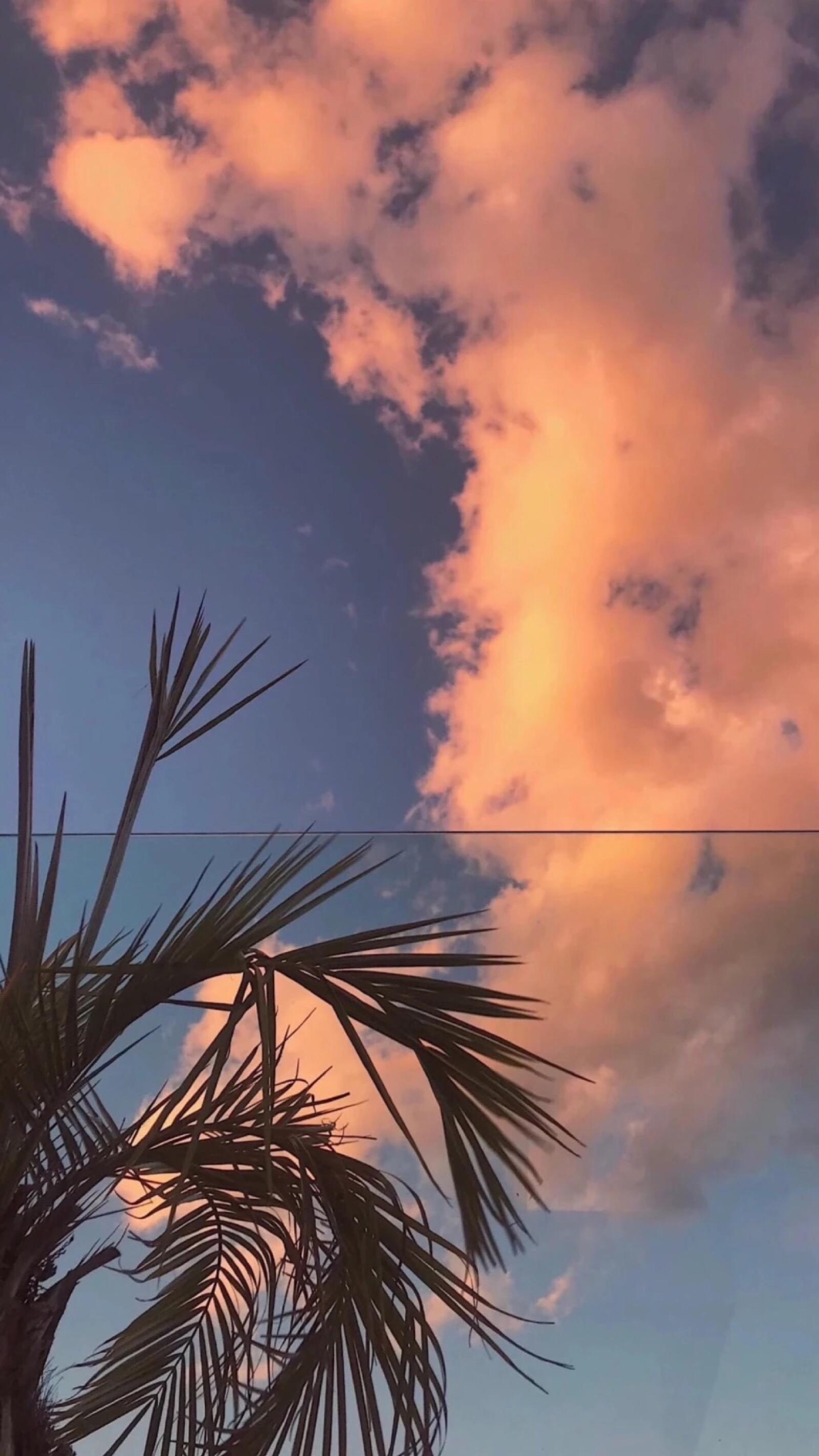 最近壁纸换的有点勤