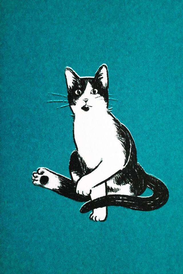 猫咪 插画 by_dyin li