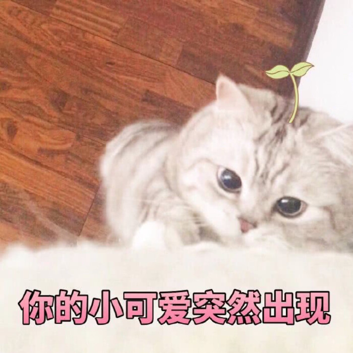 撩汉表情男朋友恋爱搞笑撒娇傲娇发际线表情包图片