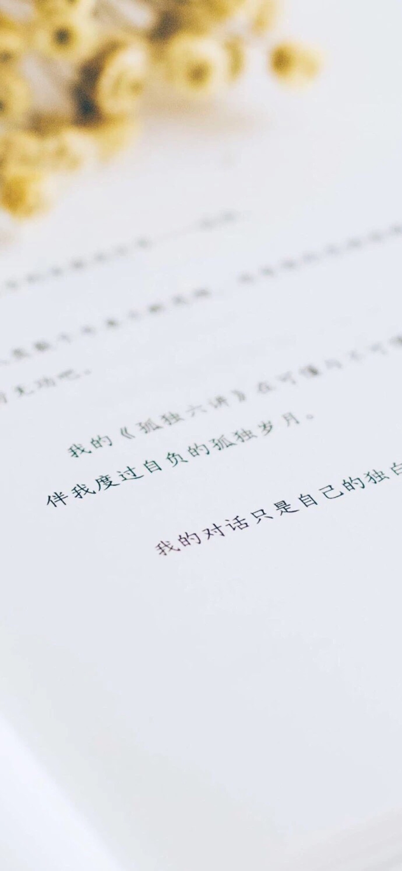 ins风 壁纸 小清新