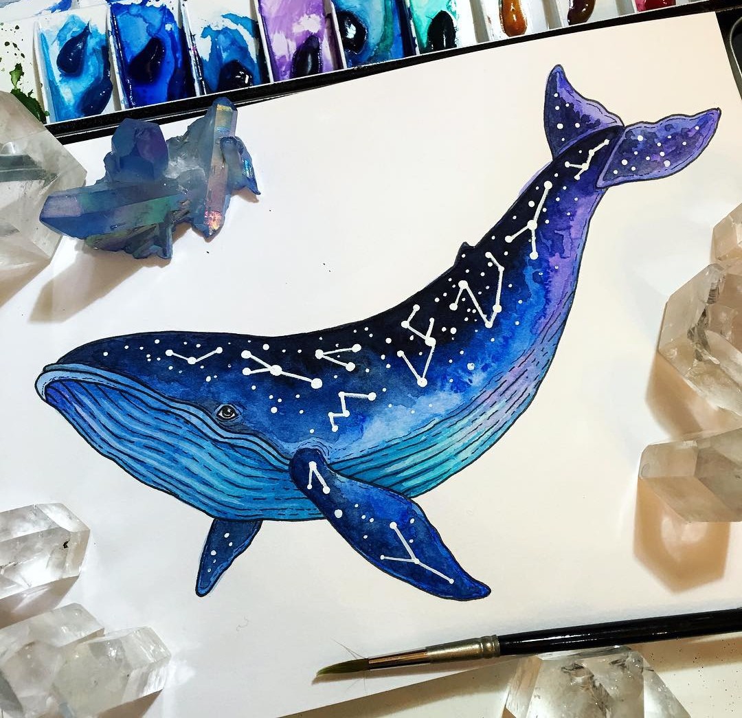 水彩 动物绘画 鲸鱼 插画 作者ins@ pixie