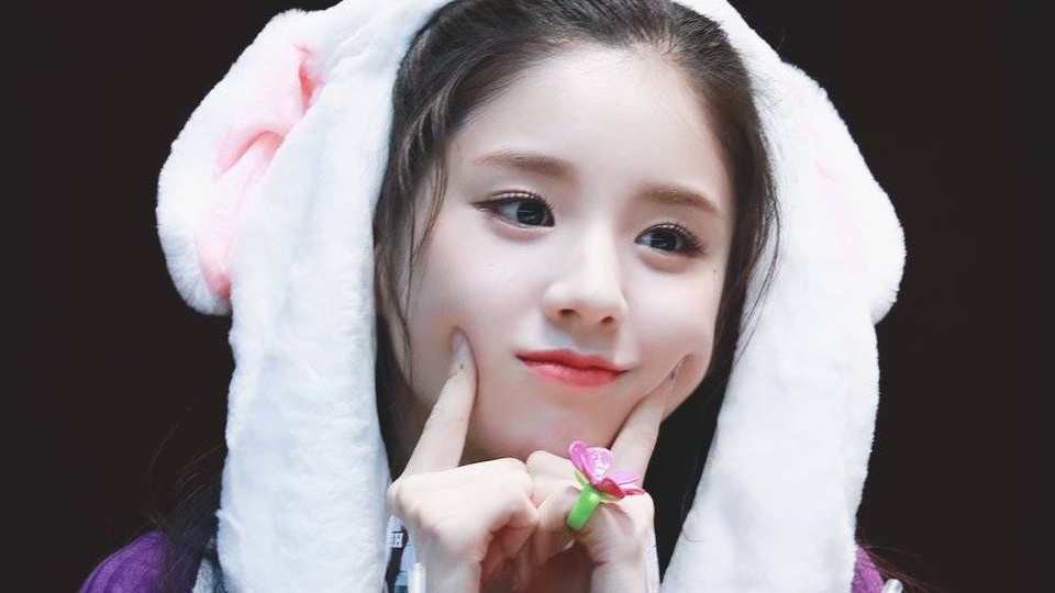 田姬振