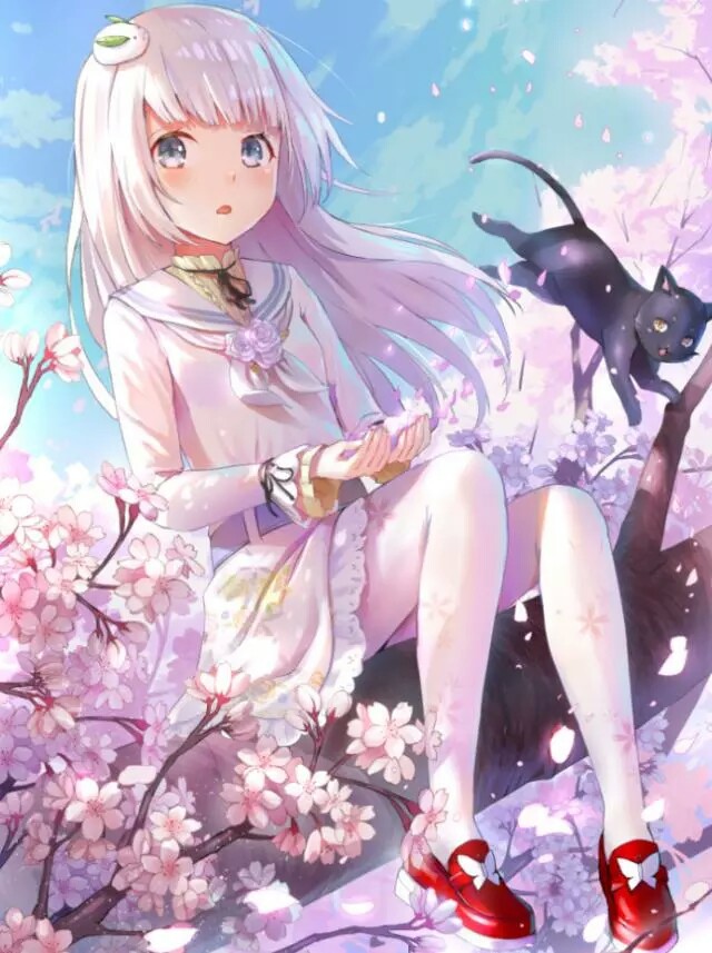 银发少女