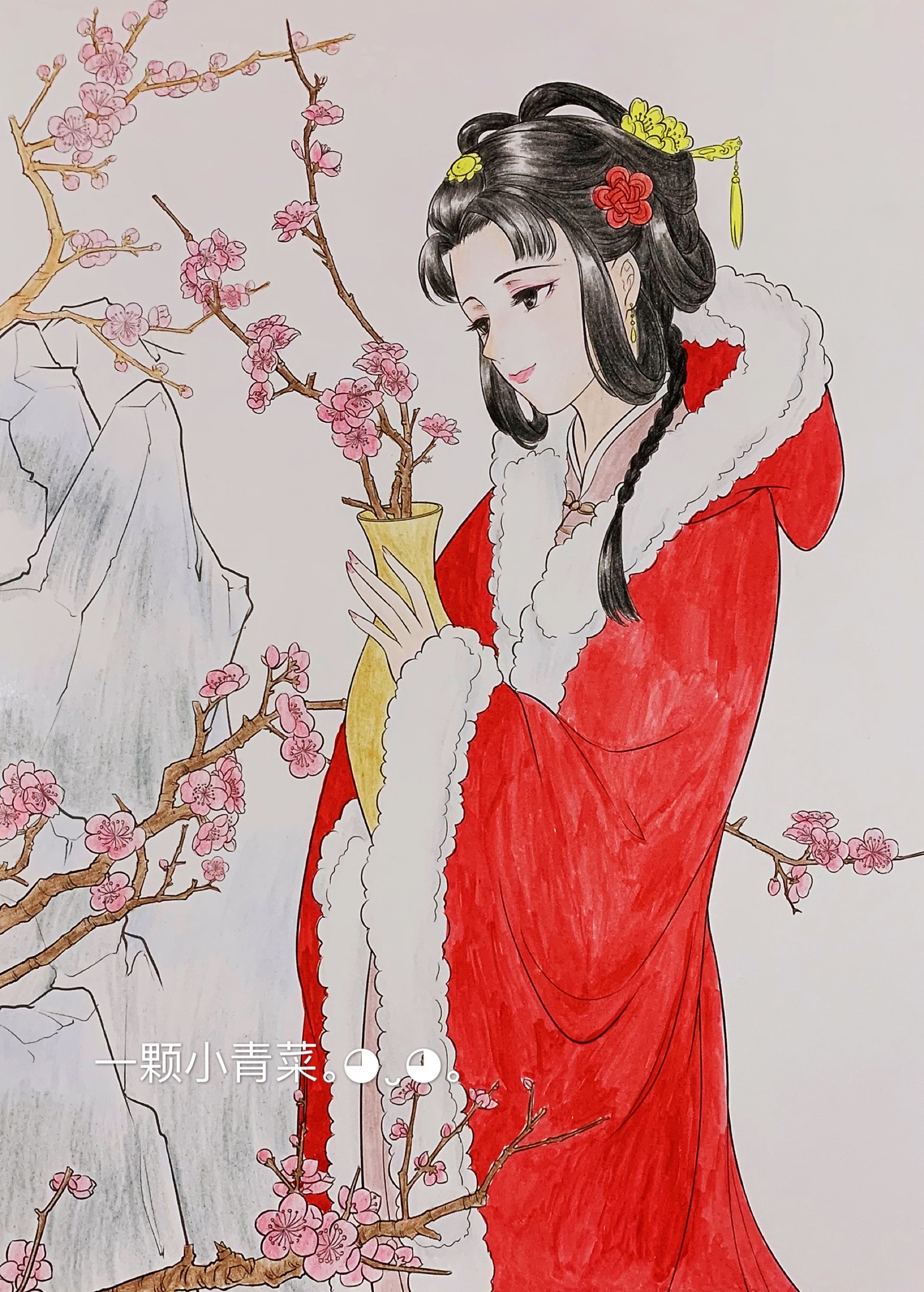 红楼梦女儿情