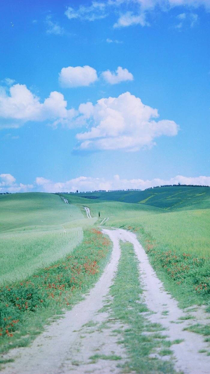 壁纸去见你的路上风都是甜的