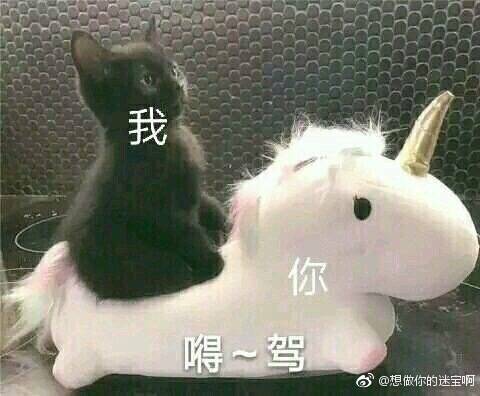 撩男朋友表情包