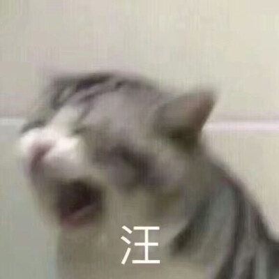 沙雕表情包