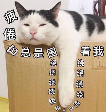 第一天打卡,感觉好困噢!好想吃肉啊!