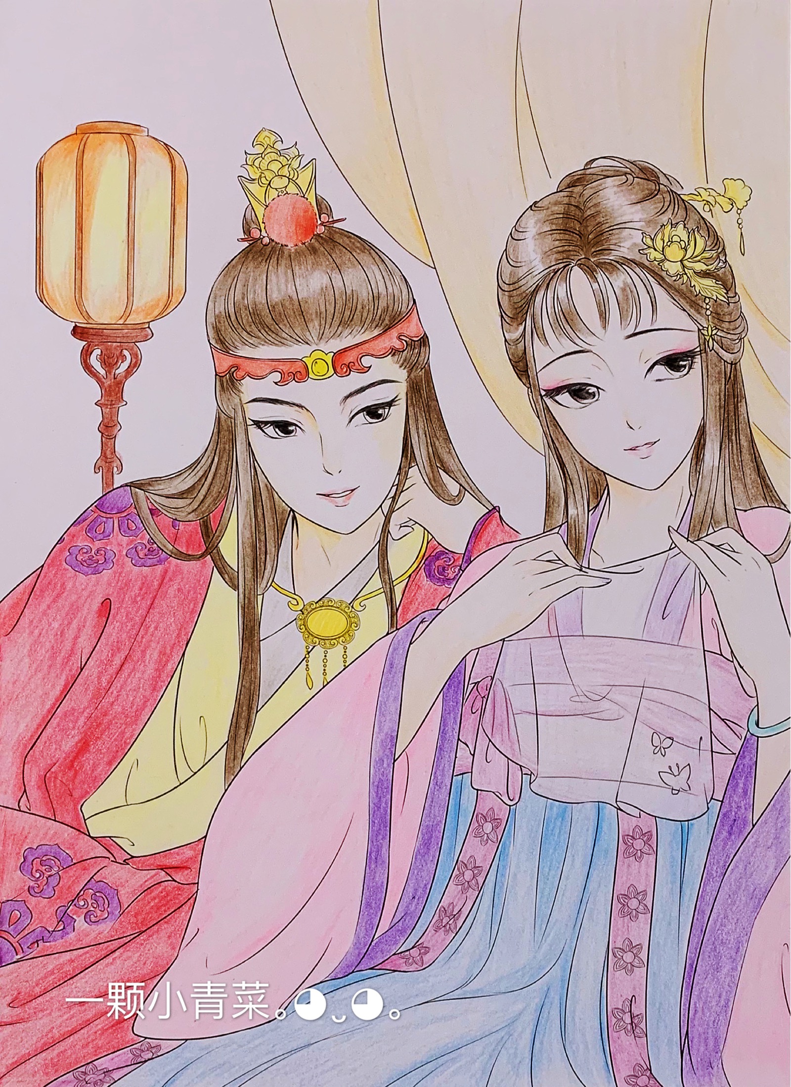 红楼梦女儿情
