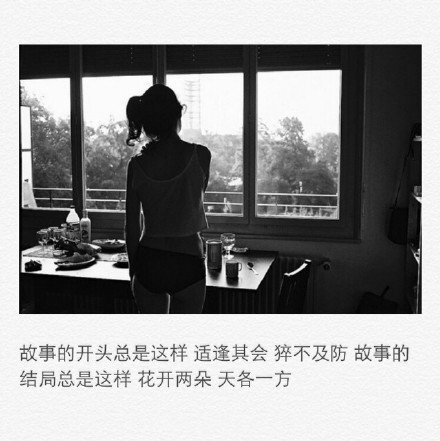故事的开头总是这样 适逢其会 猝不及防 故事的结局总是这样 花开两朵
