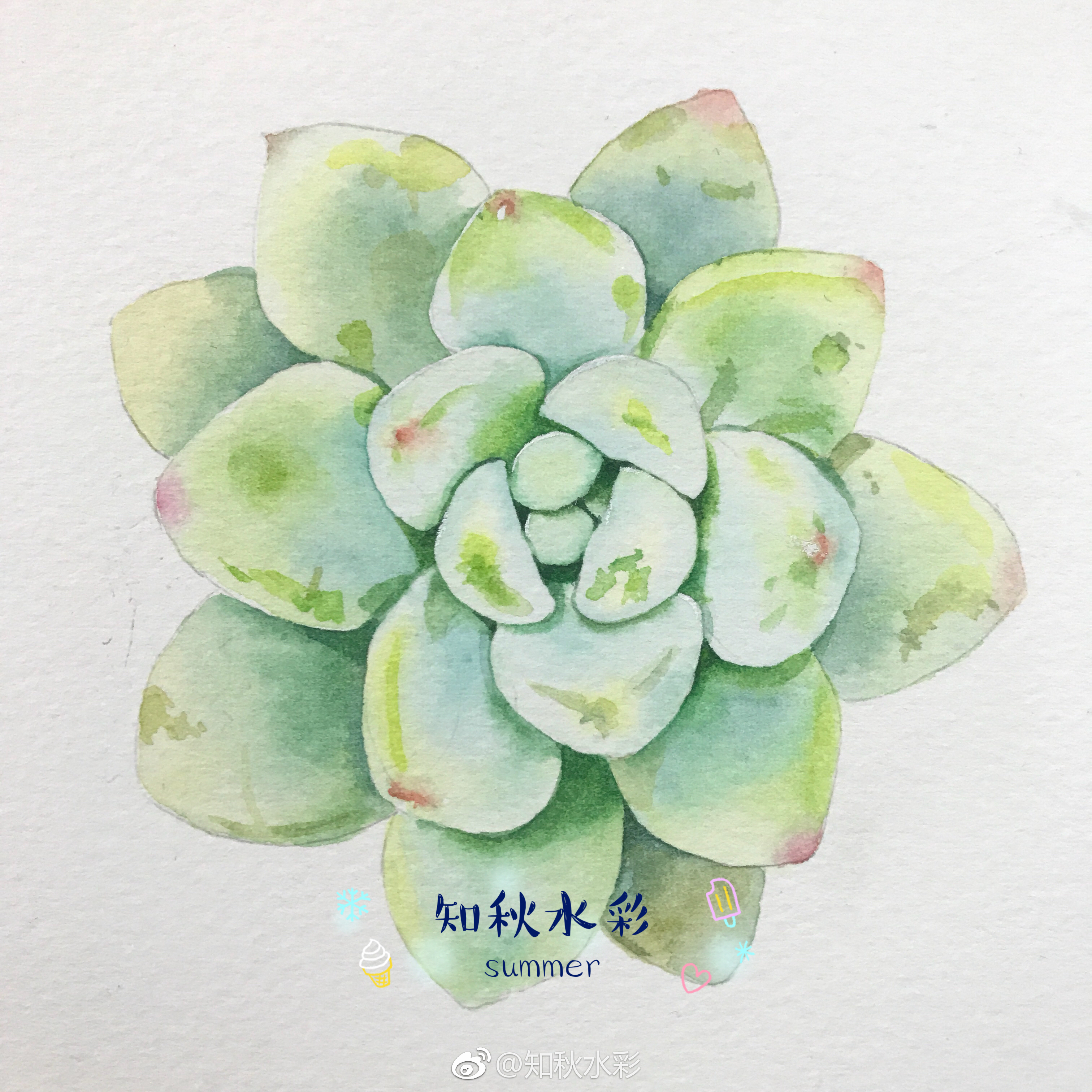 来波九宫格多肉～水彩画 ( 作者:知秋水彩)