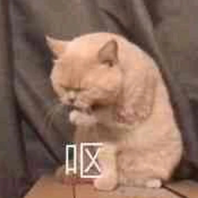 猫狗表情包