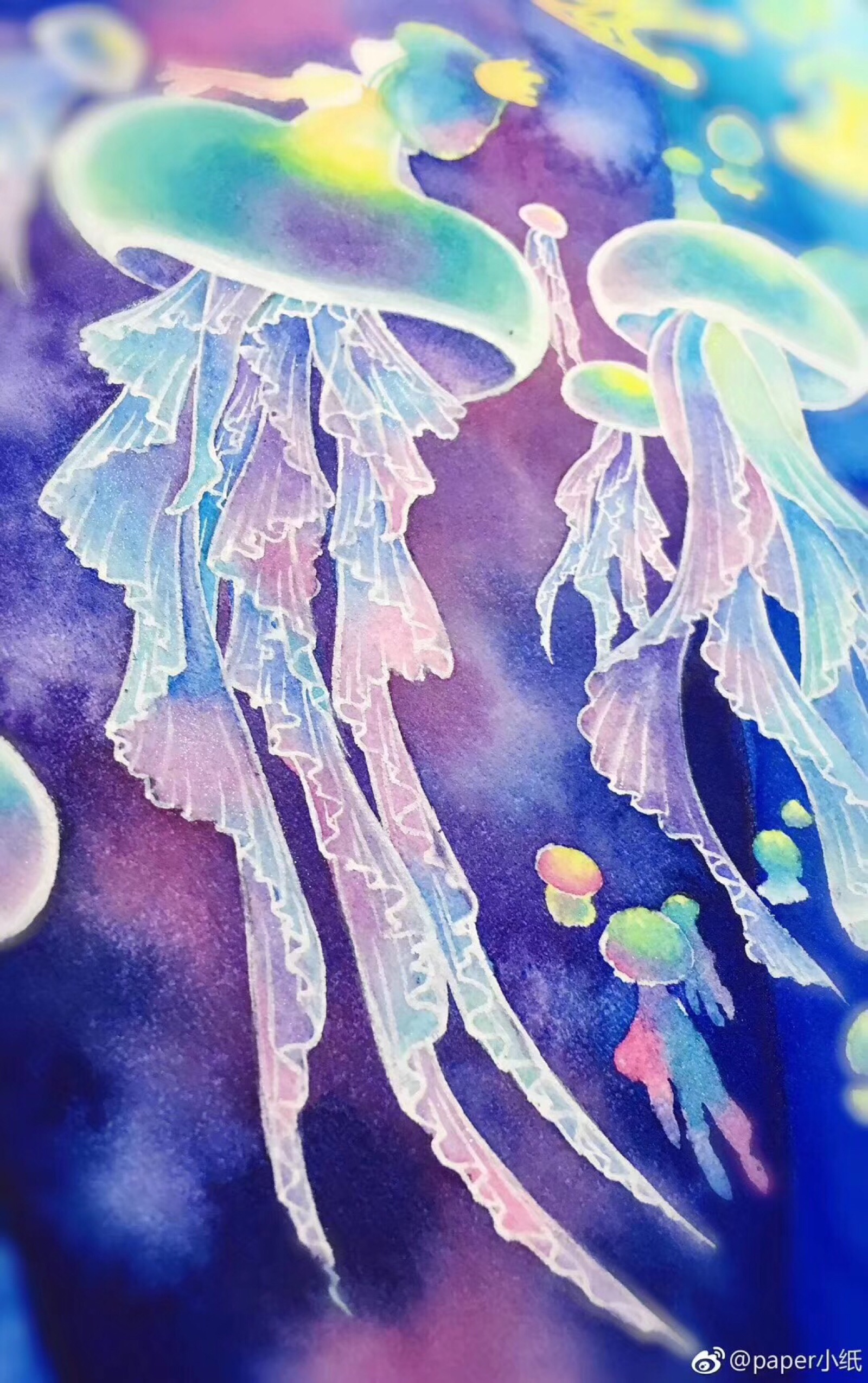 水母动漫唯美图片
