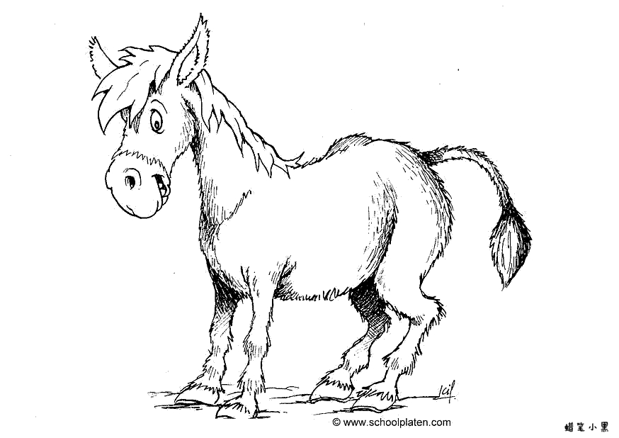 donkey儿童涂色画图片   蜡笔小黑