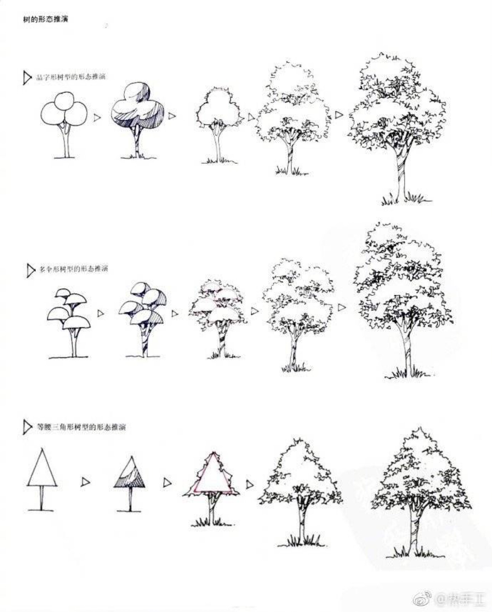 树状图画法图片