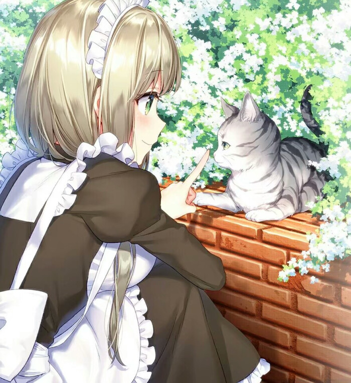 少女与猫