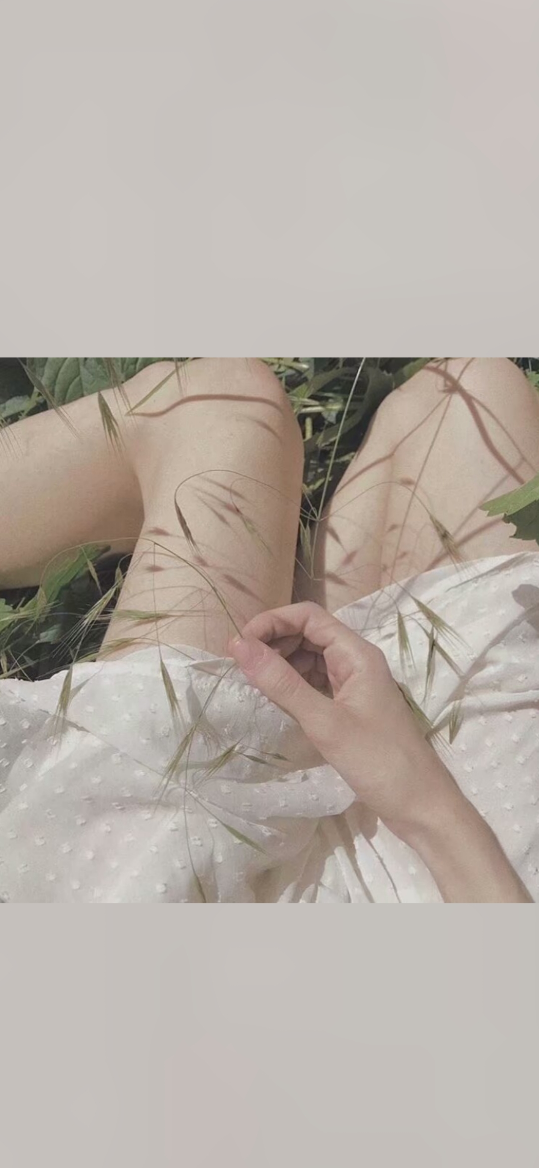 【沈清屿】壁纸 分割 纯色 白底 清纯元素少女背景