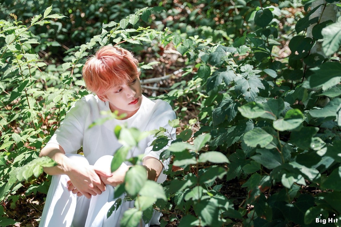 jungkook 田柾国 bts 防弹少年团 bts 2019 season's greetings 台历