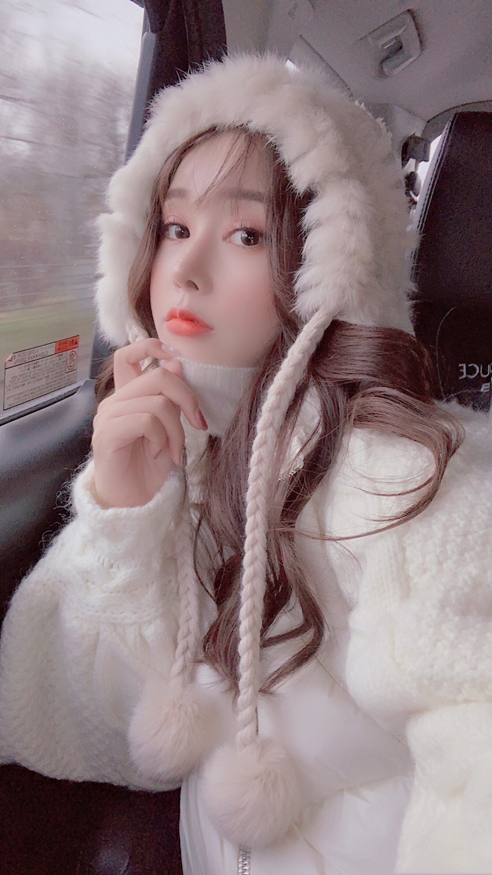 野洵 壁纸喜收藏 禁二传.