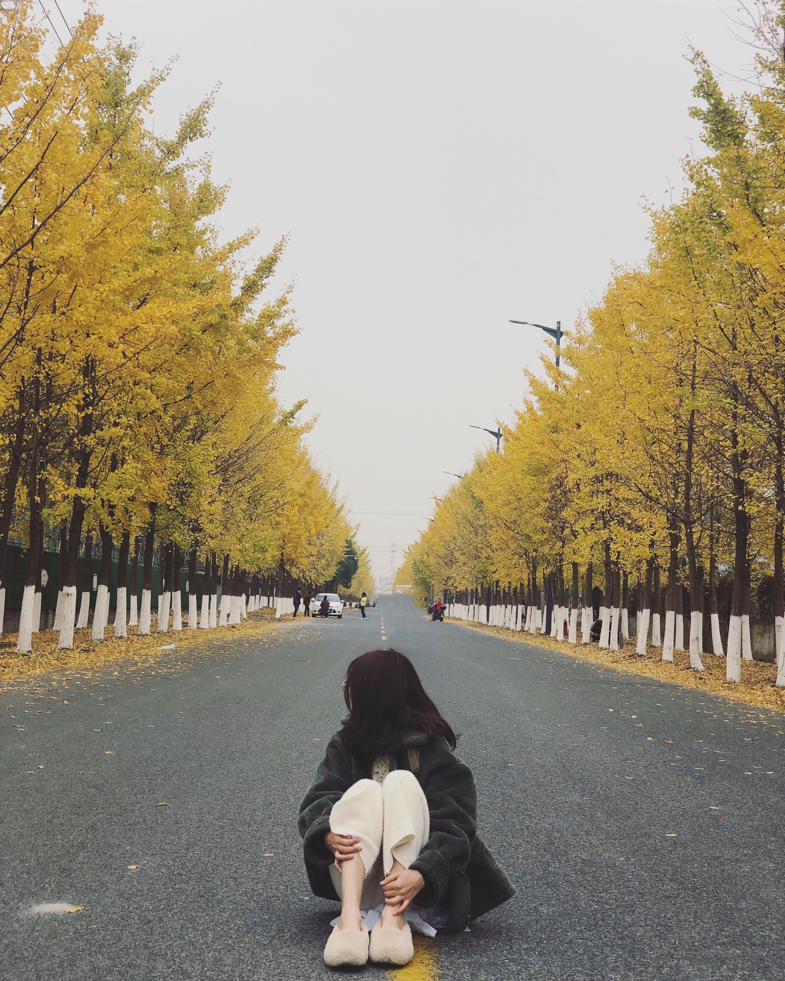 周末-堆糖,美好生活研究所