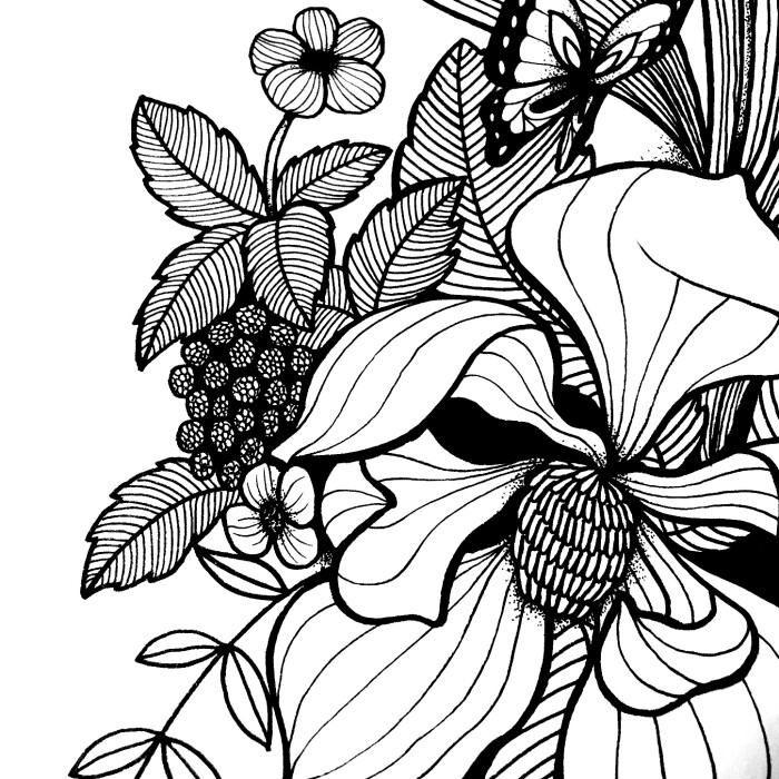 花儿与树叶线描简笔画 ~ (作者: 会画画的云 )图片