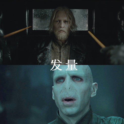 格林德沃vs伏地魔,伏地魔的棺材板要压不住了