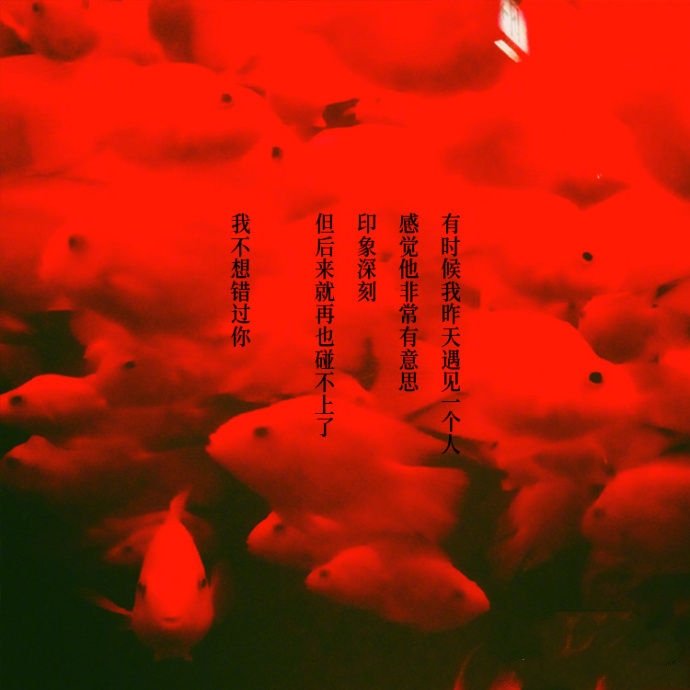 我也曾把光阴浪费甚至莽撞到视死如归,然后因为爱上你而渴望长命百岁.