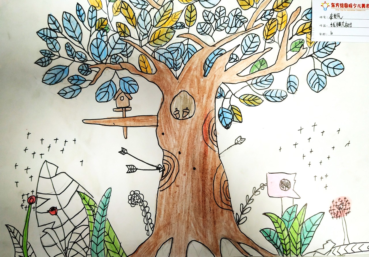 六年级大树图画图片