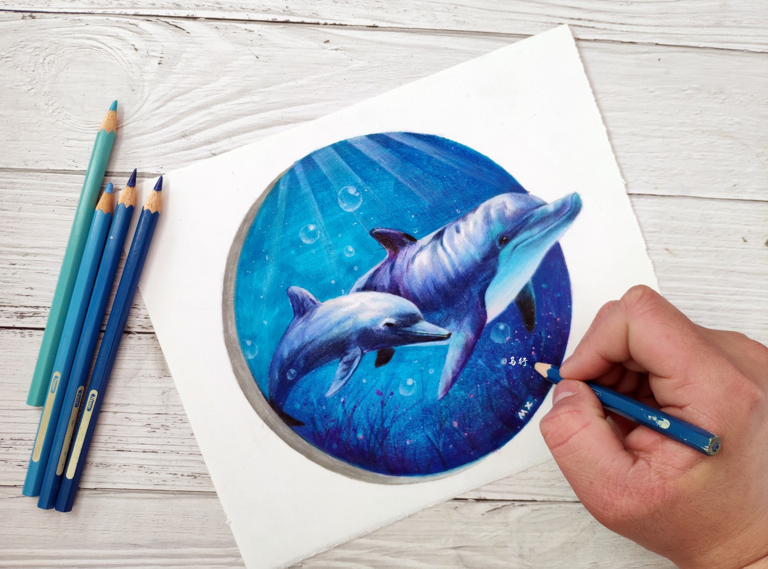 海洋生物怎么画彩铅图片