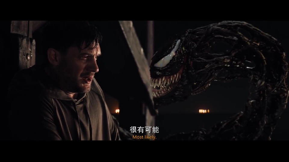 毒液 致命守护者