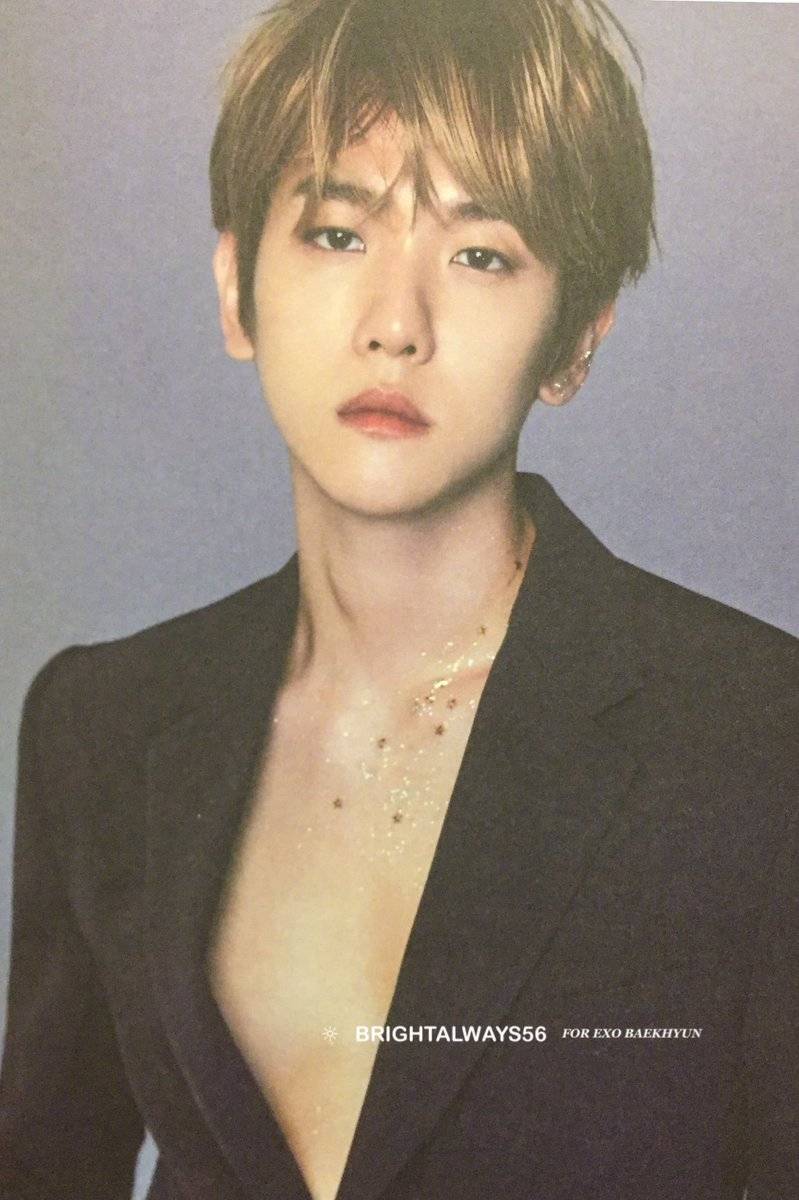 伯贤# exo 2019 season greetings