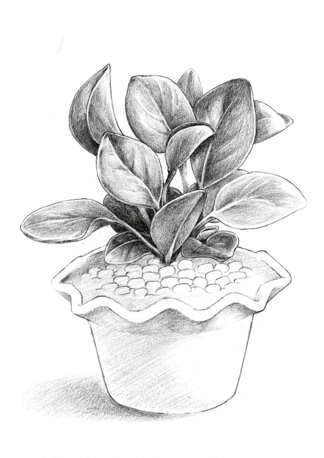 花盆画法素描图片