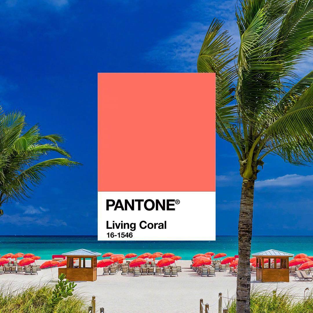 2019年度流行色珊瑚橙(living coral,色号pantone 16