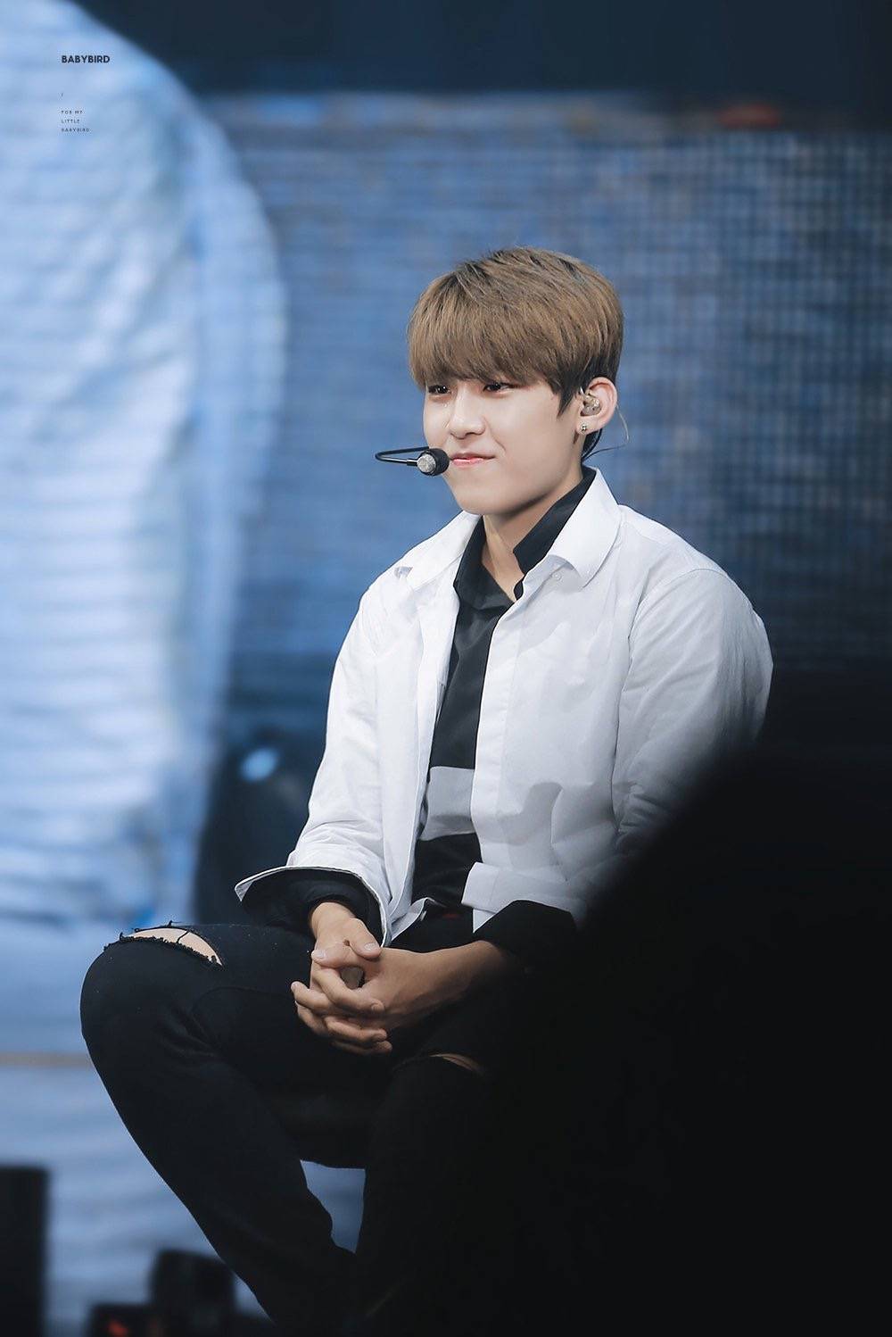 朴佑镇 wannaone 帕五金
