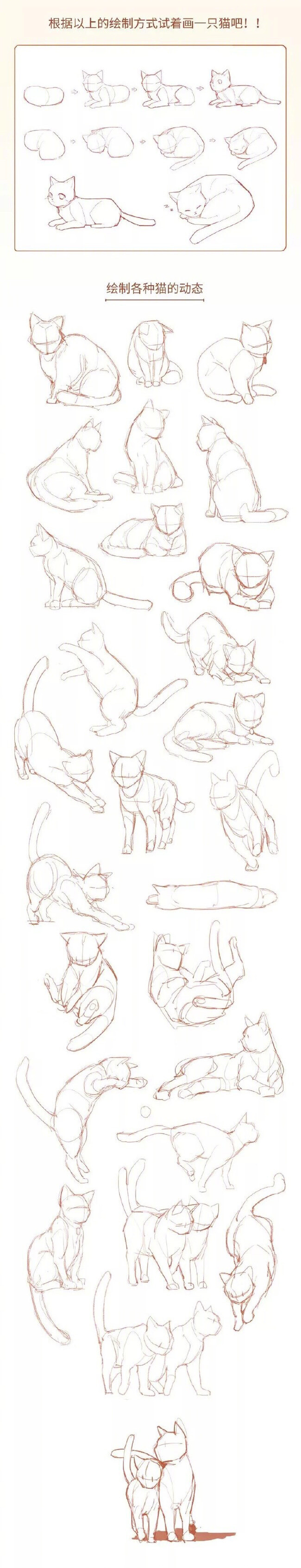 猫画法