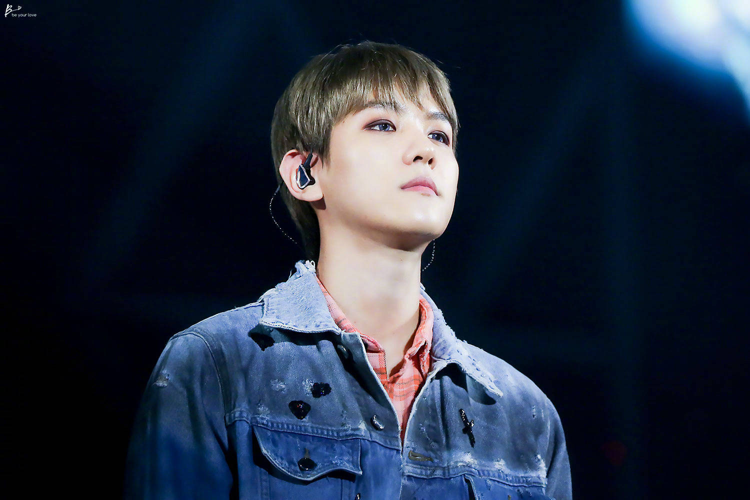 baek hyun|边伯贤|08logo