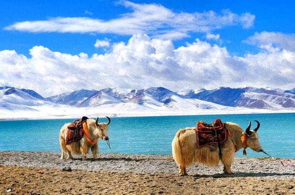 【天湖纳木错】它是上天遗落在人间的圣湖,…-堆糖,美好生活研究所