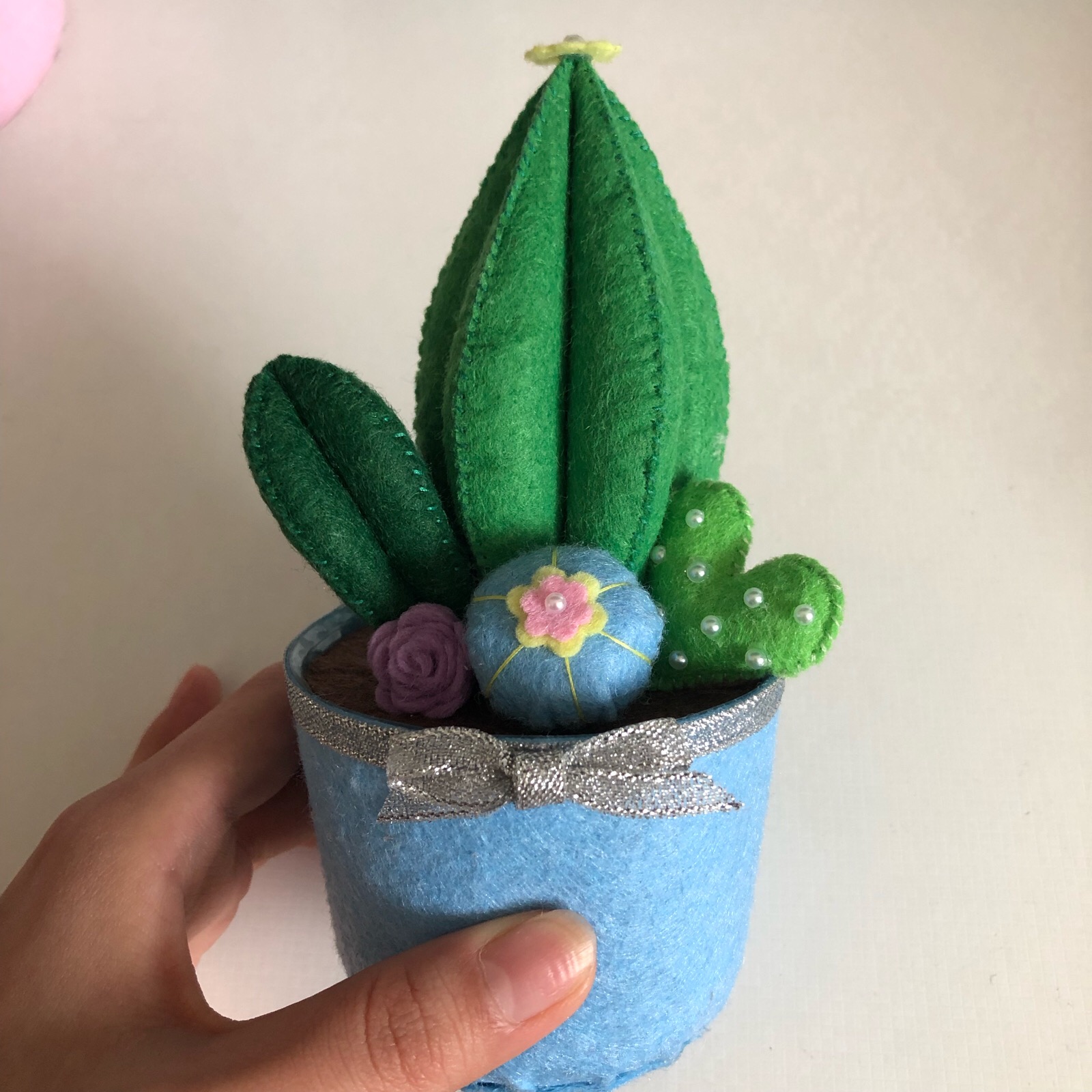 不织布仙人掌盆栽