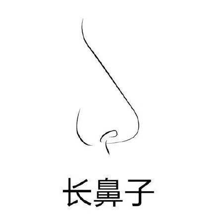 几种普遍的鼻子,你对你的鼻子了解吗?