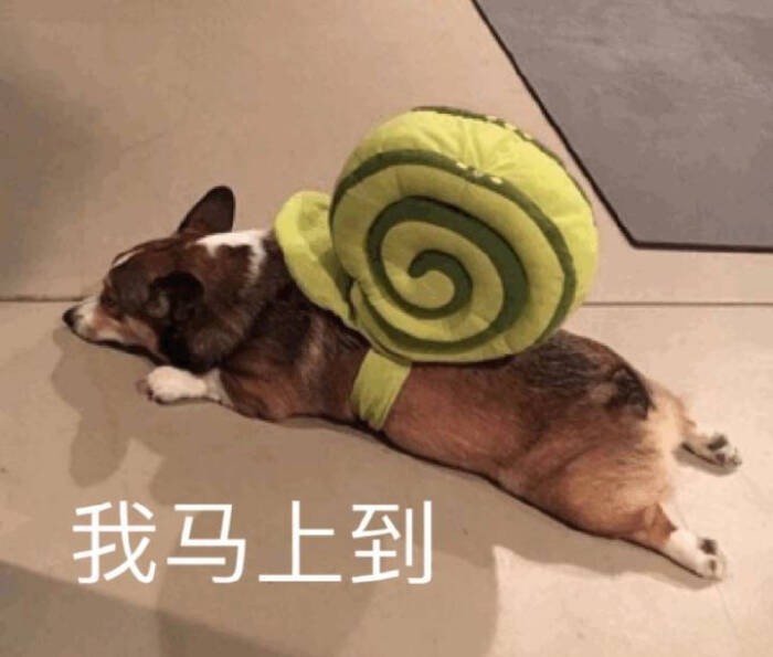 无系列单图战斗力爆喜欢情,老规矩有表表发现包相情真表的图片