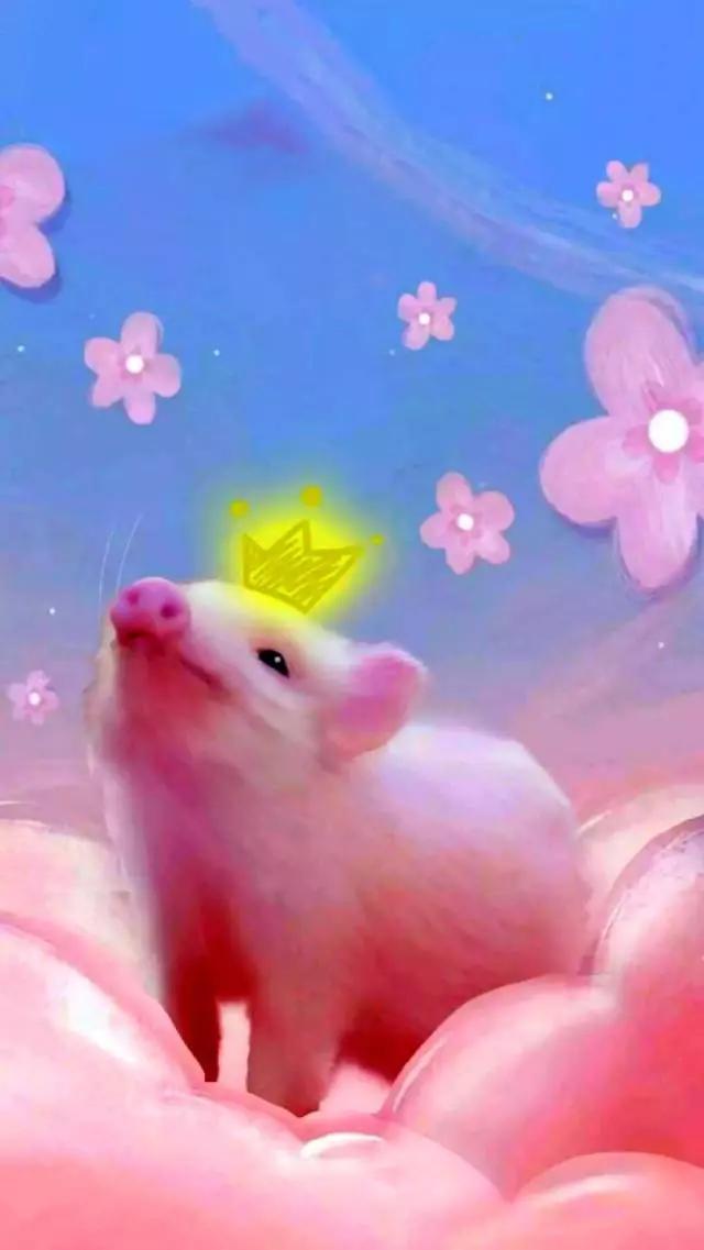 荧光 可爱 壁纸