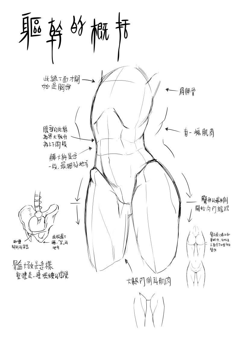 肢体名称含图片图片