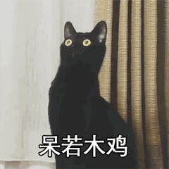 黑猫阿黑表情包图片