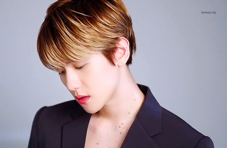 边伯贤 baekhyun 【动图】2019 season greeting 【hyuneezipbh】