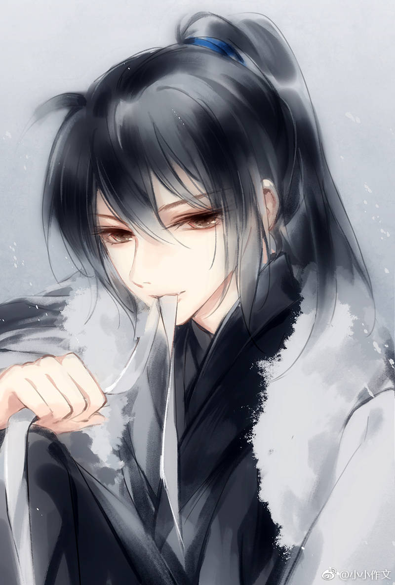 魔道祖师薛洋 晓星尘 来源微博小小作文