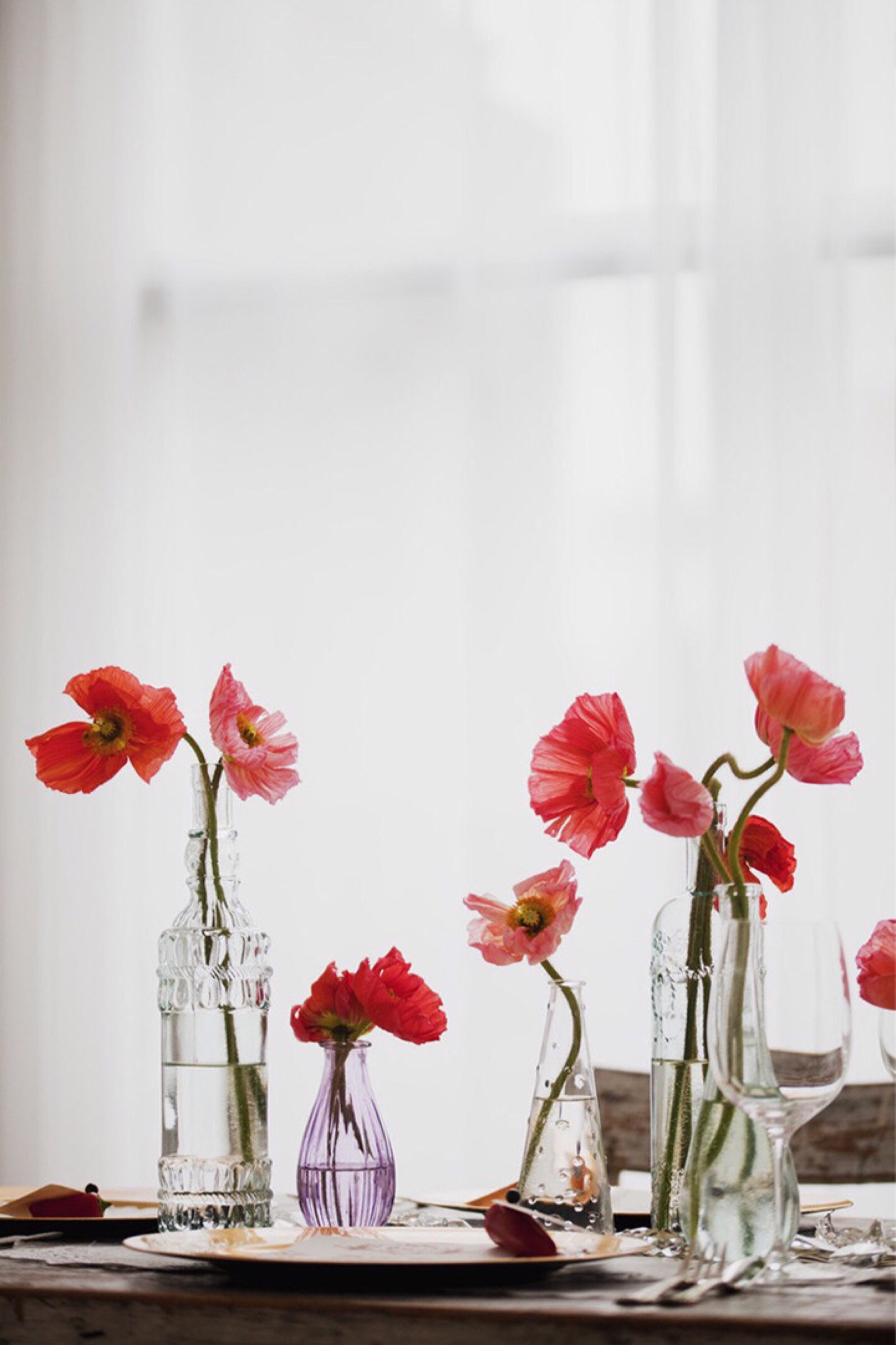 mojw_  2018年12月14日 2:52   关注  ins 壁纸 背景图 欧美 复古