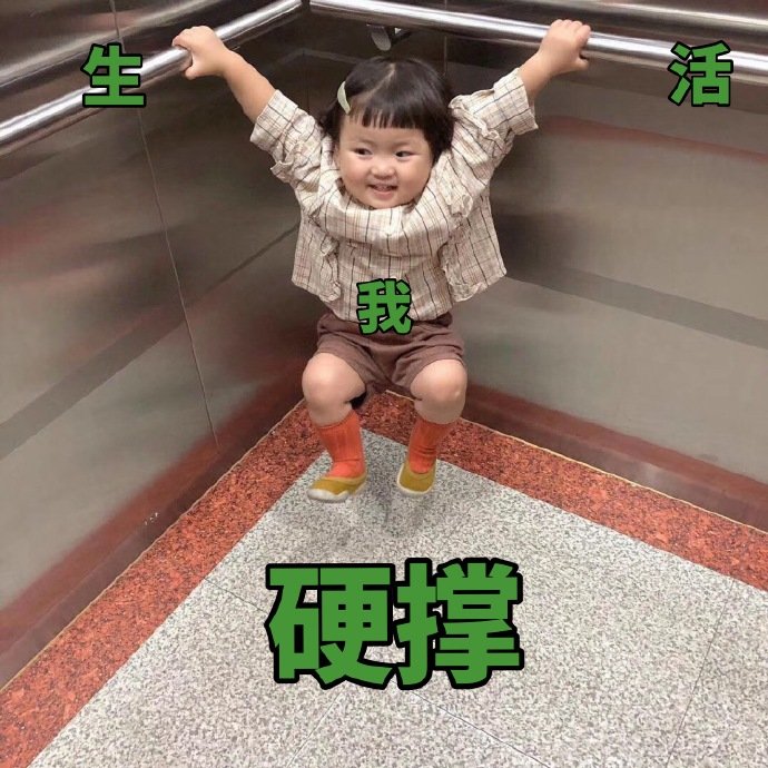 无系列单图战斗力爆喜欢情,老规矩有表表猪图表情包杀动态的图片