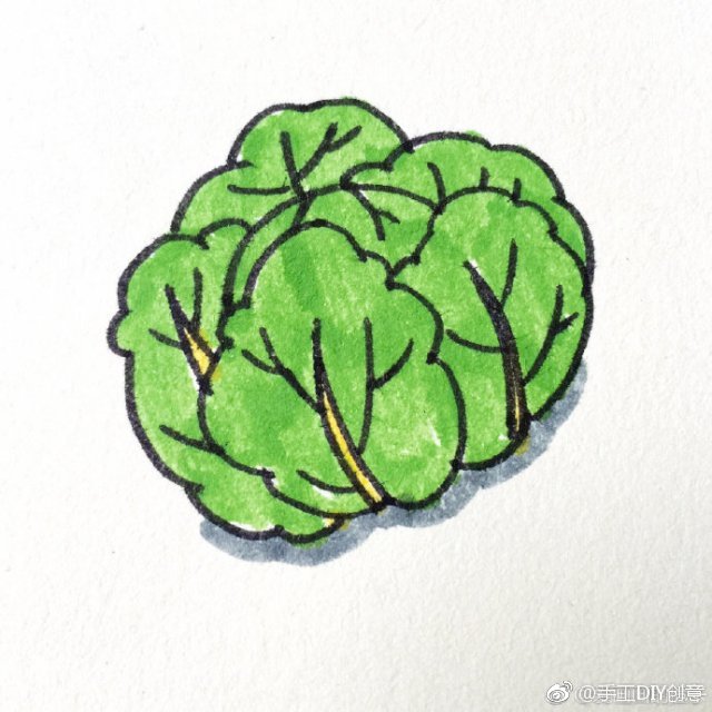 疏菜简笔画